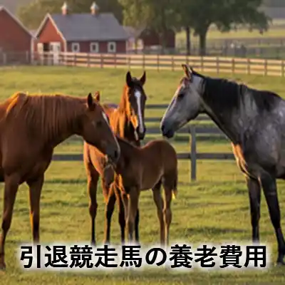 牧場の放牧地に集まる複数の馬と「引退競走馬の養老費用」の文字が入ったアイキャッチ画像