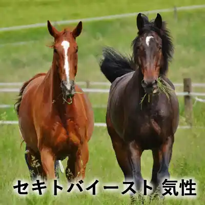 草地に並ぶ2頭の馬と「セキトバイースト 気性」の文字が入ったアイキャッチ画像